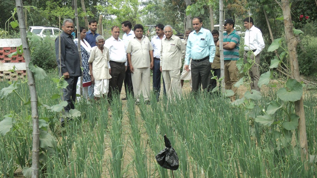 sustainable-livelihood