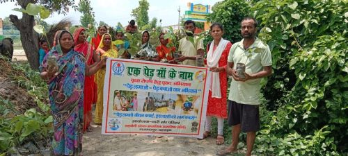 Environment and Climate Change